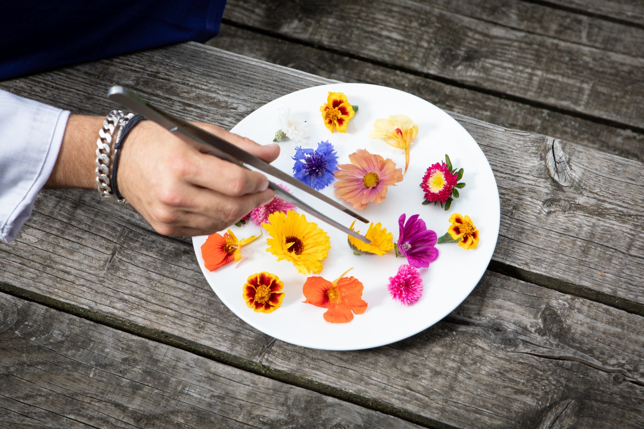 Sélection de fleurs comestibles pour une création Amarelle